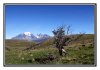 De la Terre de Feu à la Patagonie